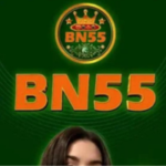bn55 game